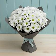 Букет цветов из:  Хризантемы в Еткуль