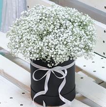 Цветочная композиция из Гипсофила в шляпной коробке в Еткуль